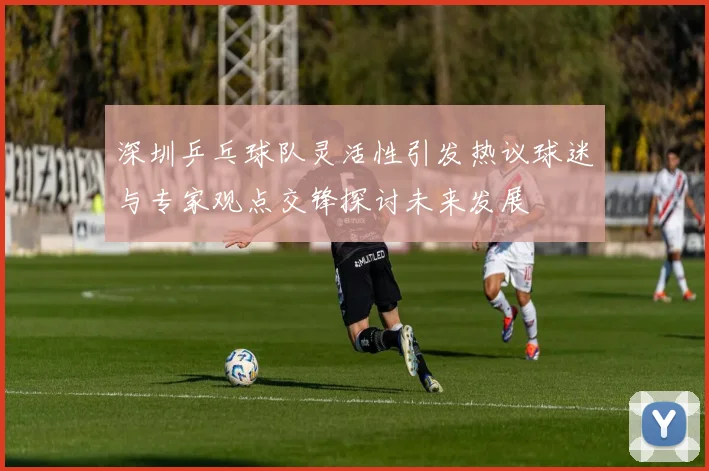 深圳乒乓球队灵活性引发热议球迷与专家观点交锋探讨未来发展