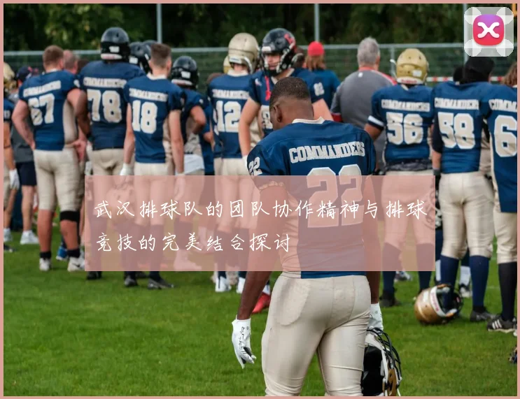 武汉排球队的团队协作精神与排球竞技的完美结合探讨