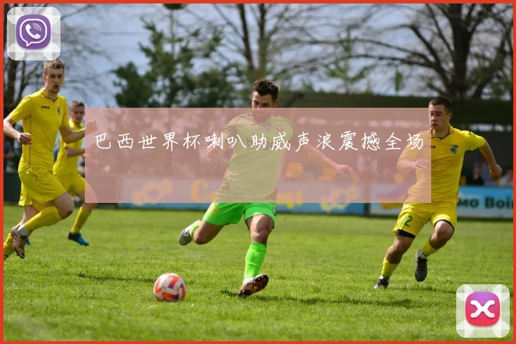 巴西世界杯喇叭助威声浪震撼全场