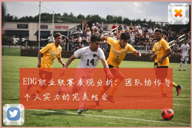 EDG职业联赛表现分析：团队协作与个人实力的完美结合
