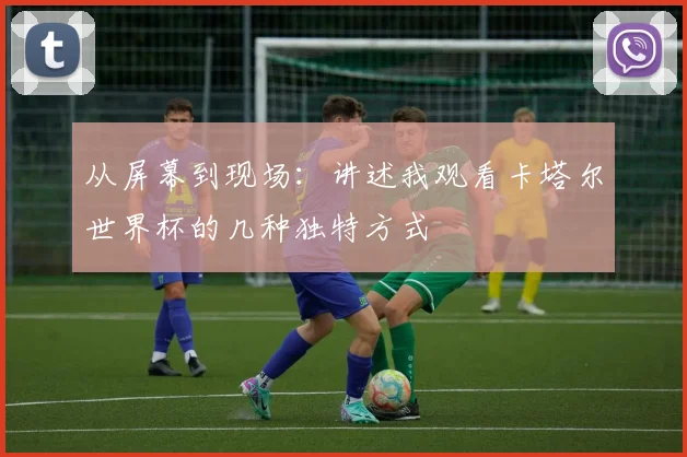 从屏幕到现场：讲述我观看卡塔尔世界杯的几种独特方式